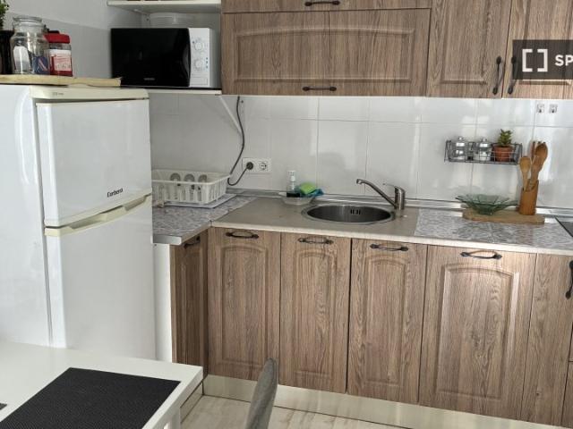 Apartamento de 1 dormitorio en alquiler en San Matías Realejo, Granada