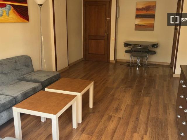Piso en alquiler de 1 habitación en Nueva España, Madrid