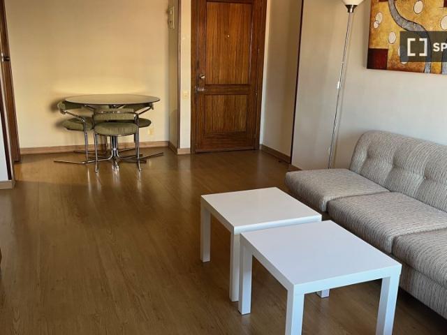 Piso en alquiler de 1 habitación en Nueva España, Madrid