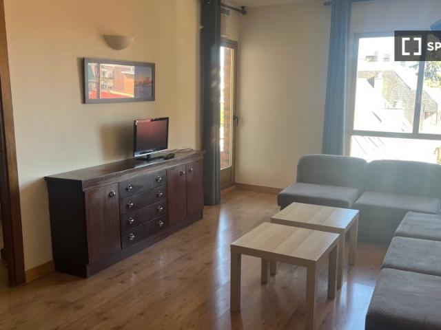 Piso en alquiler de 1 habitación en Nueva España, Madrid