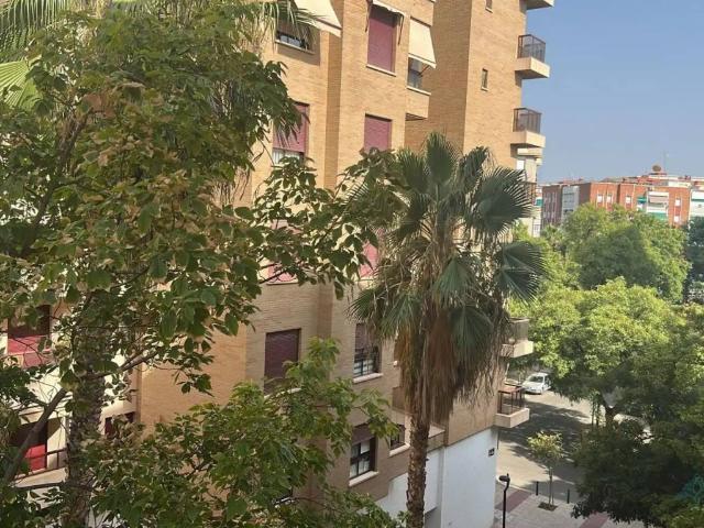 Piso en Alquiler en Murcia