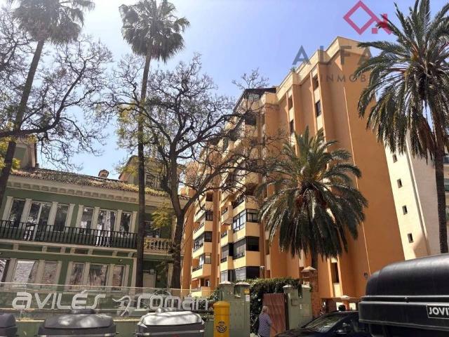 Piso en Alquiler en Málaga