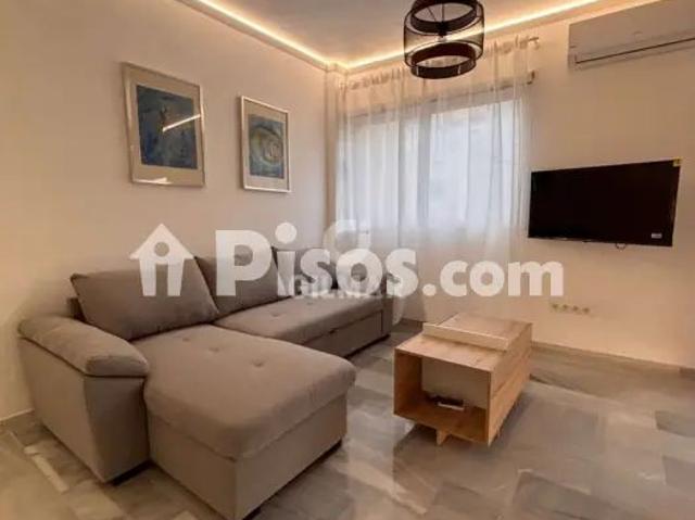 Piso en alquiler en Malagueta