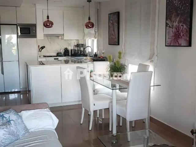 Piso en alquiler en Oliva Nova
