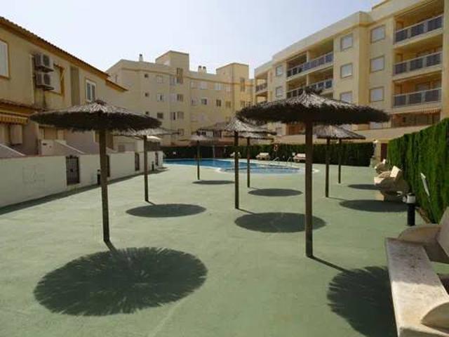 Piso en Alquiler en Oliva