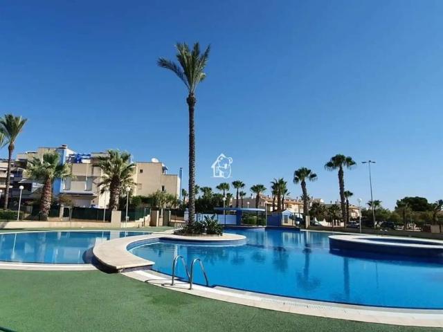 Piso en Alquiler en Orihuela