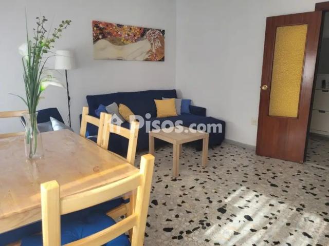 Piso en alquiler en Avda. Santa Isabel