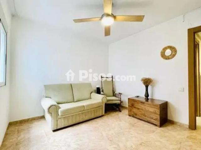 Piso en alquiler en Avenida de Maisonnave