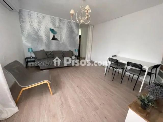 Piso en alquiler en Avenida de San Sebastián