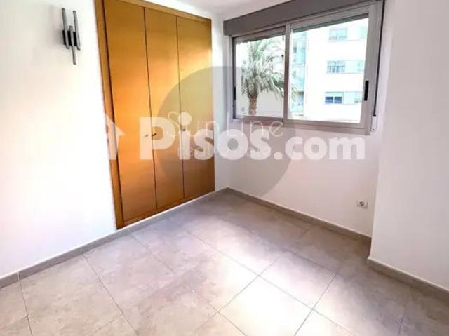 Piso en alquiler en Avenida del Maestro Rodrigo