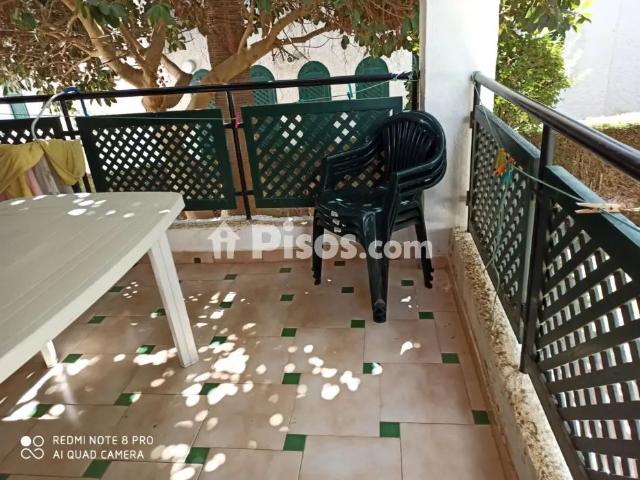 Piso en alquiler en Avenida del Alamillo