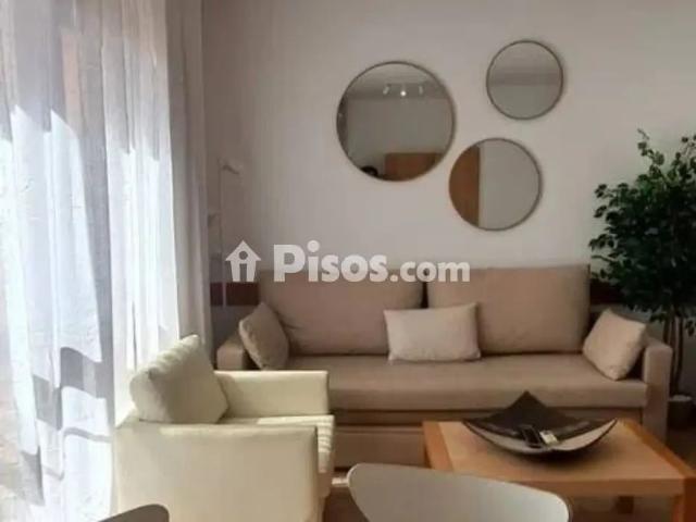 Piso en alquiler en Avenida del Decano