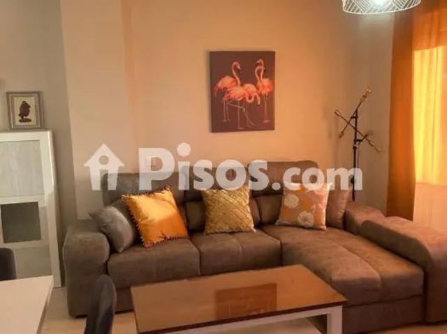 Piso en alquiler en Avenida Felipe González Márquez