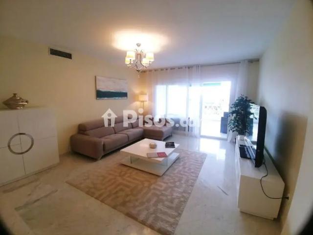 Piso en alquiler en Avenida Playas del Duque