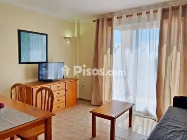 Piso en alquiler en Avinguda de Borrons
