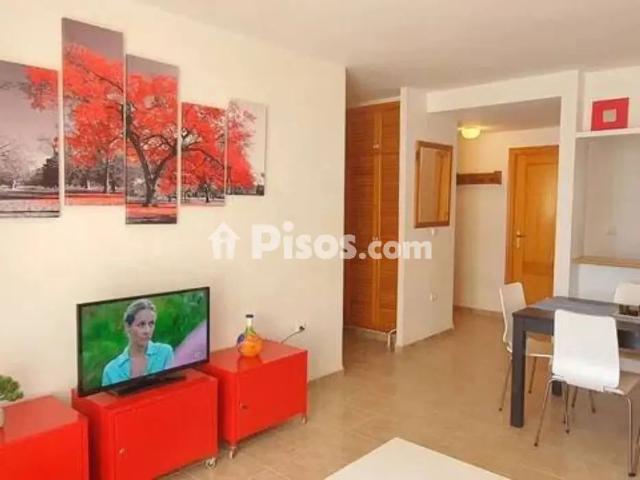 Piso en alquiler en Avinguda de Borrons