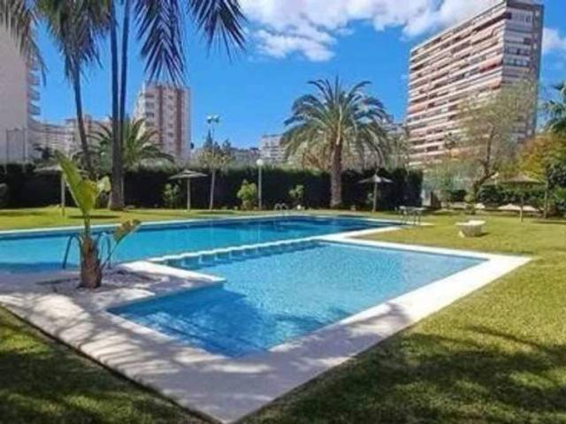 Piso en Alquiler en Alicante Alacant