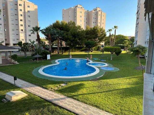 Piso en Alquiler en Alicante Alacant