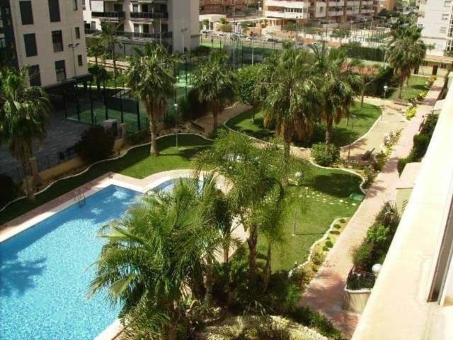 Piso en Alquiler en Alicante Alacant
