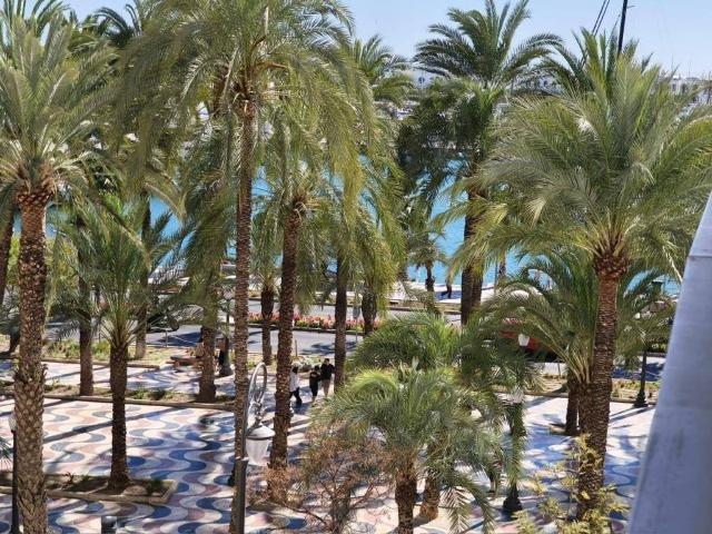 Piso en Alquiler en Alicante Alacant