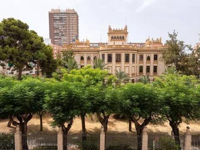 Piso en Alquiler en Alicante Alacant