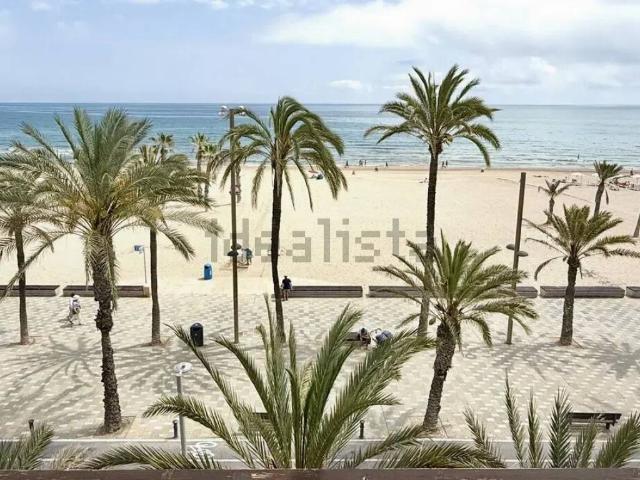 Piso en Alquiler en Alicante Alacant