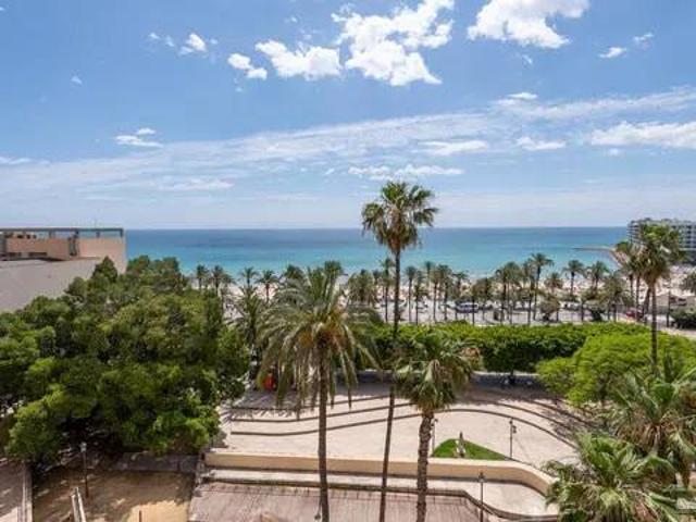 Piso en Alquiler en Alicante Alacant
