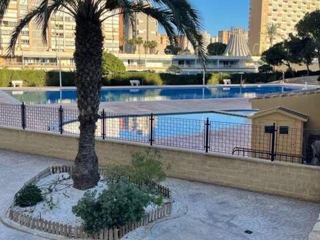 Piso en Alquiler en Alicante Alacant