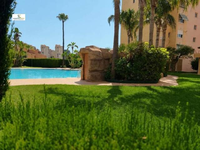 Piso en Alquiler en Alicante Alacant