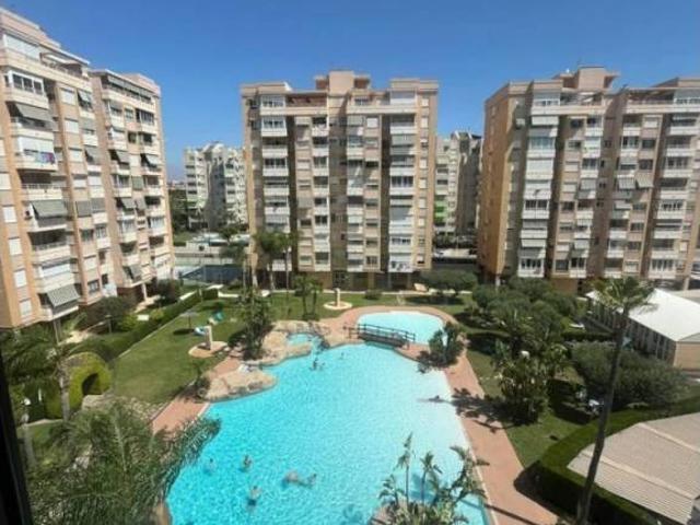 Piso en Alquiler en Alicante Alacant
