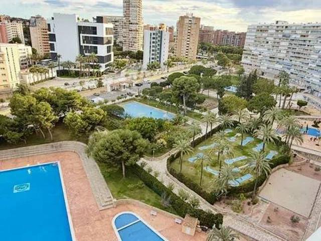 Piso en Alquiler en Alicante Alacant