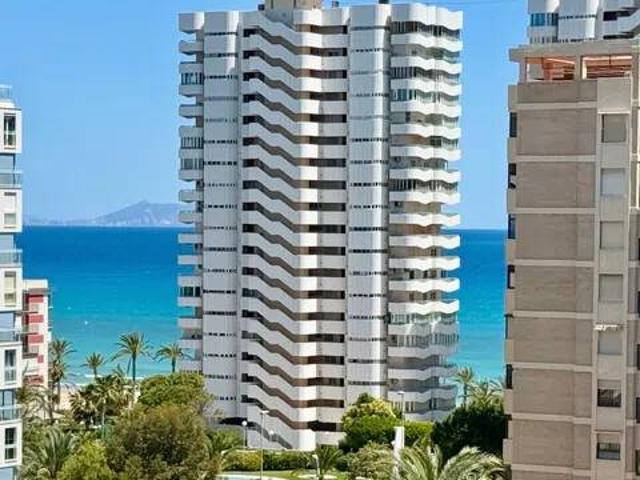 Piso en Alquiler en Alicante Alacant