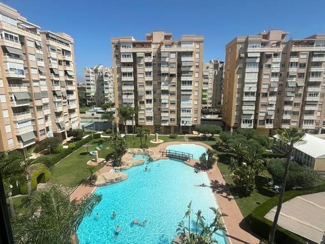 Piso en alquiler en Alicante / Alacant, Alicante Costa Blanca
