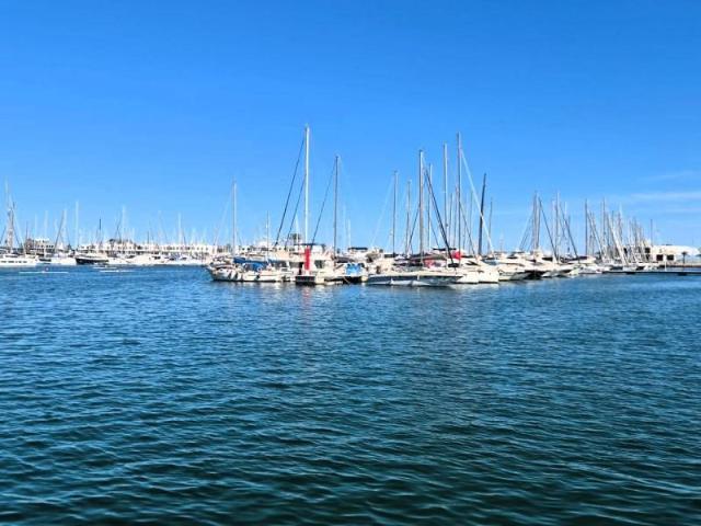 Piso en alquiler en Alicante, Carrer Rafael Terol, 03001