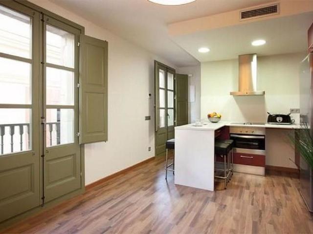 Piso en alquiler en Barcelona, de 46 m² 1 habitación por 1.011