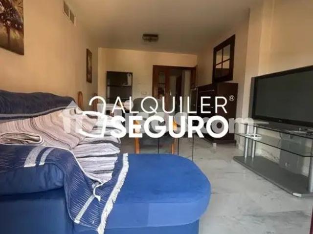 Piso en alquiler en Barrio de los Periodistas