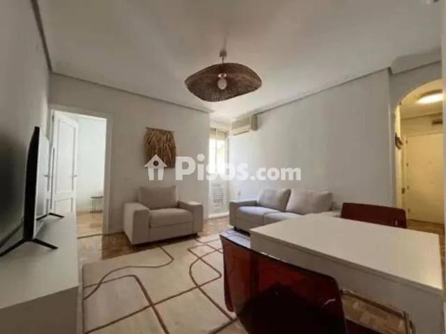 Piso en alquiler en Barrio de Salamanca