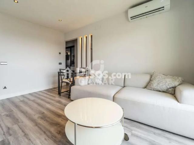 Piso en alquiler en Barrio del Pilar