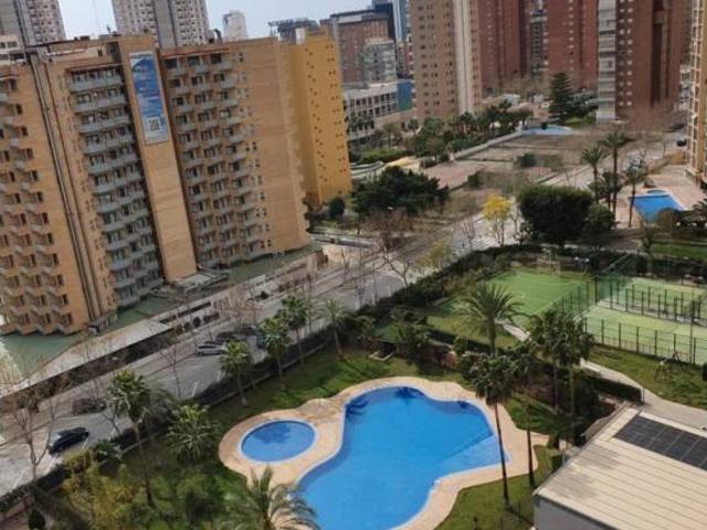 Piso en Alquiler en Benidorm