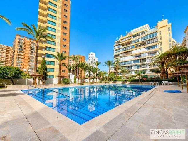 Piso en Alquiler en Benidorm