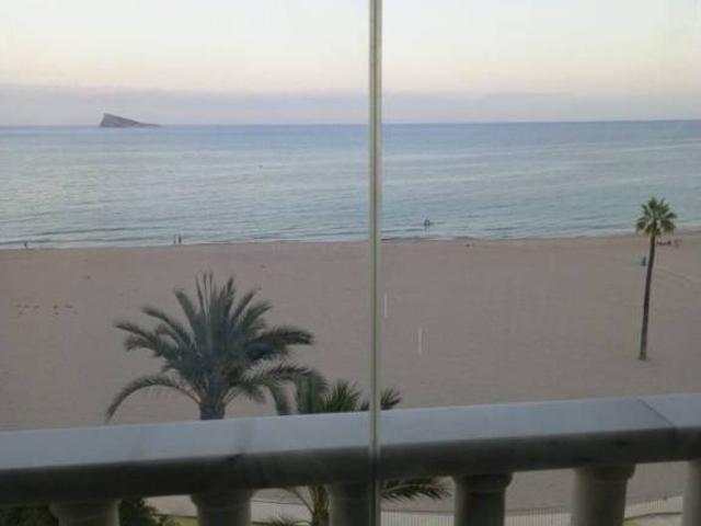 Piso en Alquiler en Benidorm