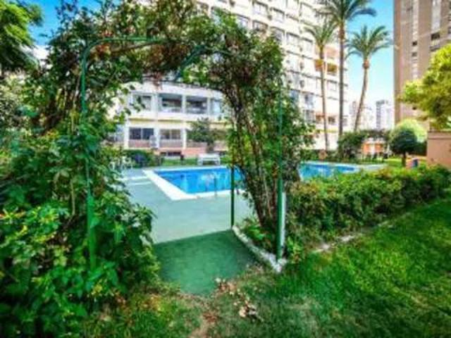 Piso en Alquiler en Benidorm