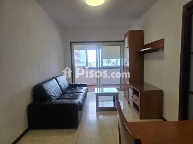 Piso en alquiler en Calle Carvajal