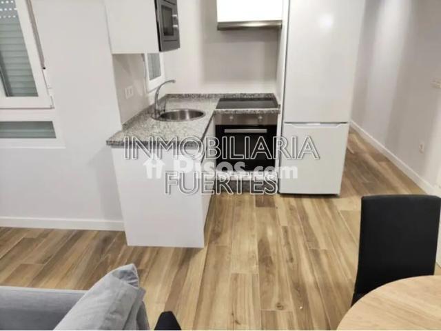Piso en alquiler en Calle de Demetrio de los Ríos