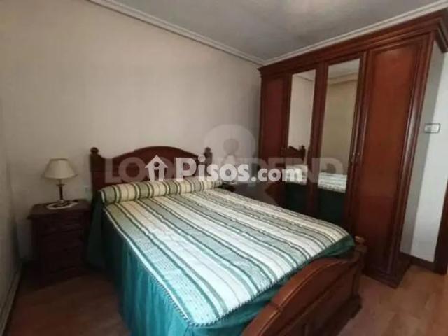 Piso en alquiler en Calle de Juan de Juni