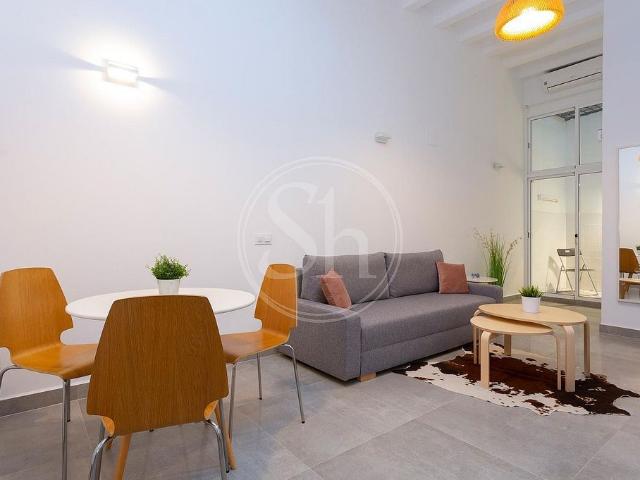 Piso en alquiler en calle De la Blanqueria, Barcelona, de 37 m² 1 habitación por 1.050