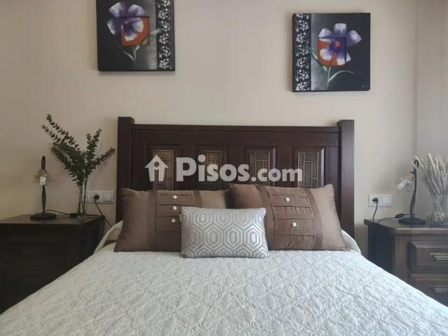 Piso en alquiler en Calle de la Hoz, 20
