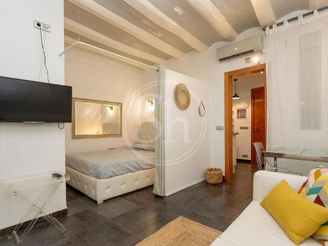Piso en alquiler en calle De L'argenter, Barcelona, de 31 m² 1 habitación por 1.095