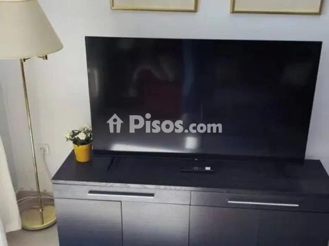 Piso en alquiler en Calle de los Campos