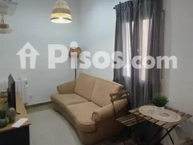 Piso en alquiler en Calle de Paulina Odiaga